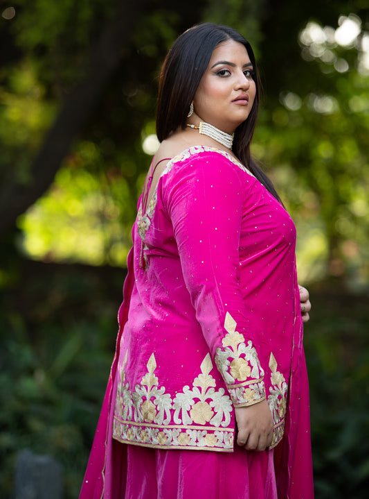 Rani Royale - pink velvet sharara set