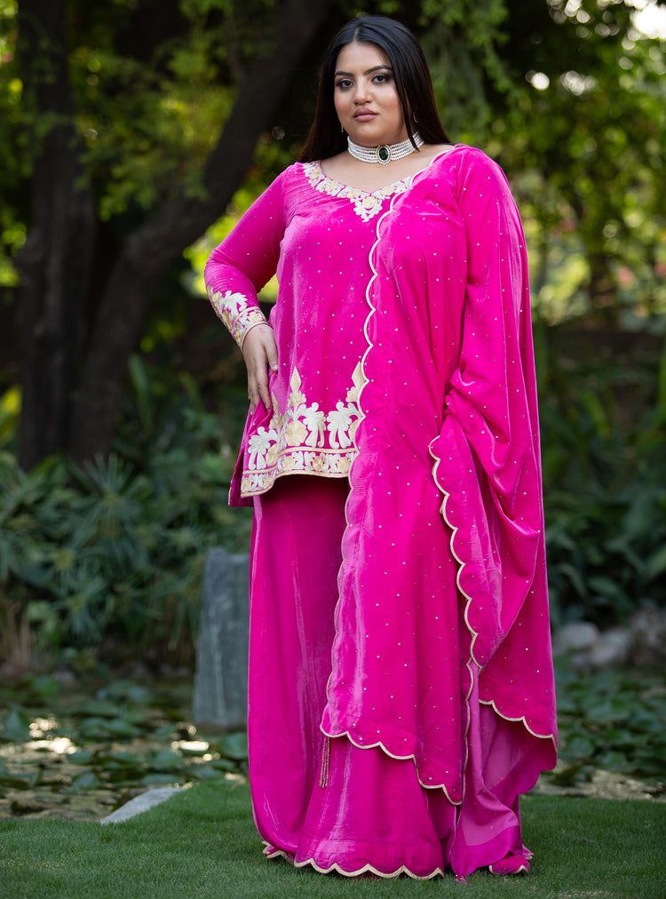 Rani Royale - pink velvet sharara set