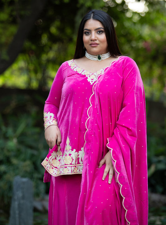Rani Royale - pink velvet sharara set